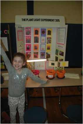 fair1