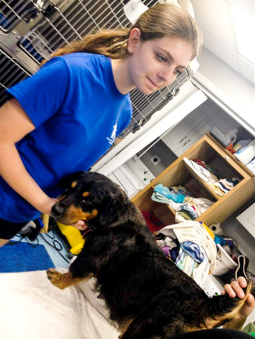 Rachel Lehner, from Warren, is a sophomore at Watchung Hills Regional High School. She began volunteering with Home for Good in 2014 and has fostered nearly 50 dogs.
