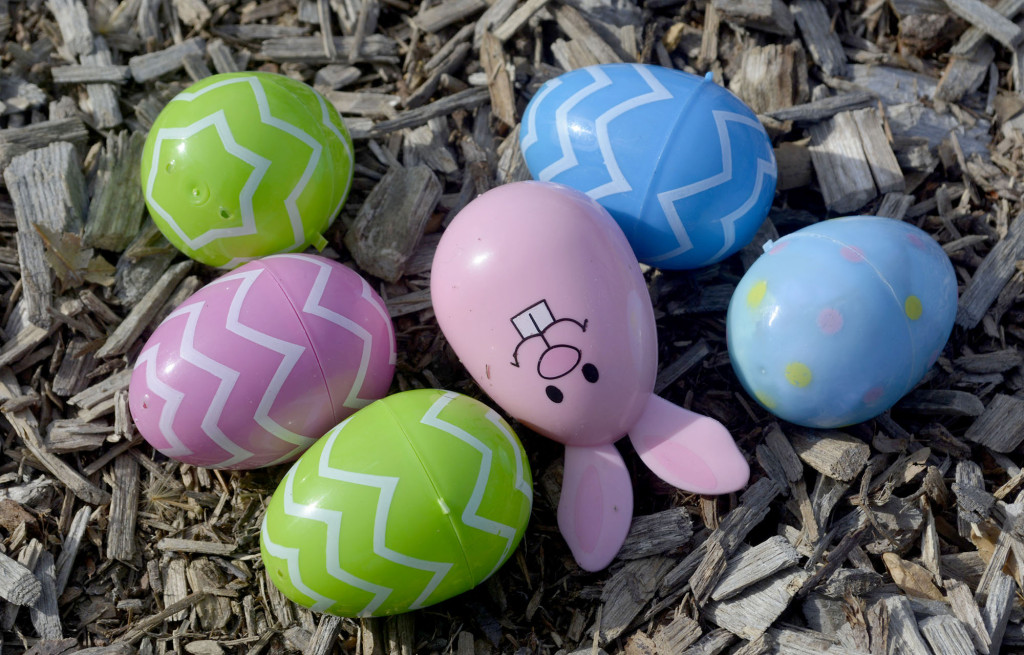 The object of every kid's attention waits to be scooped up at the annual Easter Egg Hunt in Forest Road Park in Fanwood, NJ, Saturday, March 19, 2016. Inside were tickets for prizes. (Photo by Brian Horton)