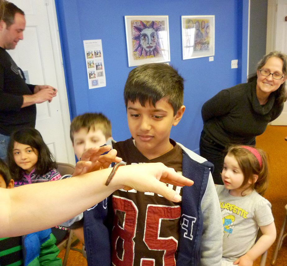Meeting a Millipede
