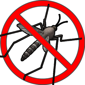 For mosquito control clean your bird bath at least twice a week. Scan you property for standing water often, especially after every rainfall. Even a soda cap of standing water is enough for mosquitos to breed.