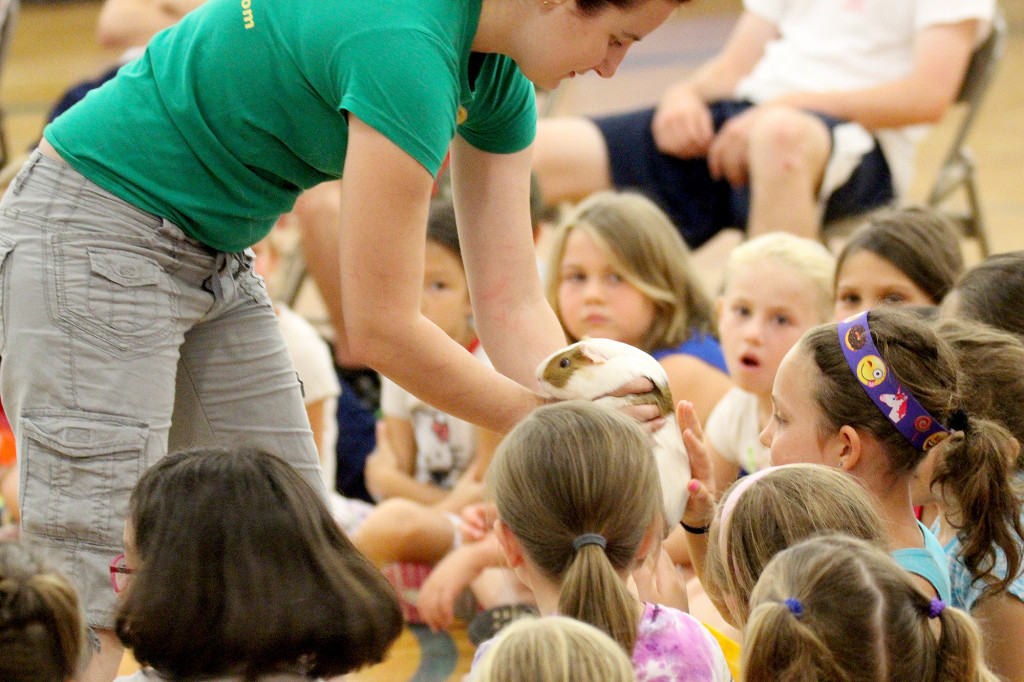 (above) Rizzo’s Reptiles visited the camp and brought lots of furry friends. Here, Deborah introduces our campers to “Karen the Guinea Pig”, and the kids got to pet her.